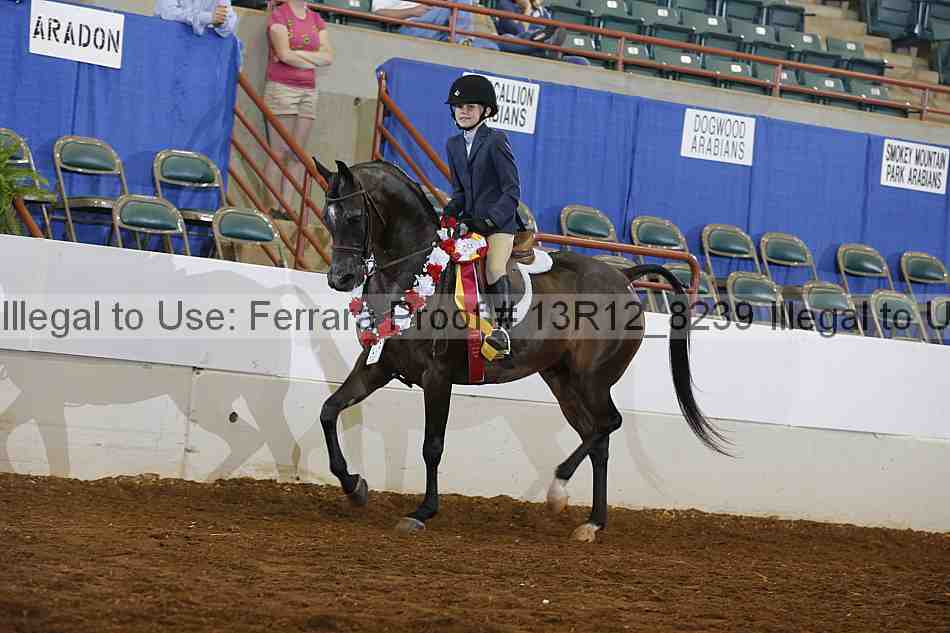 Proof Number 13r12_8239
