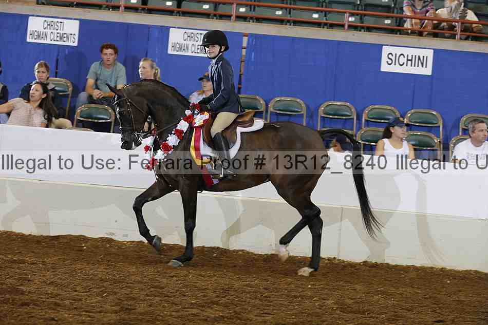 Proof Number 13r12_8240