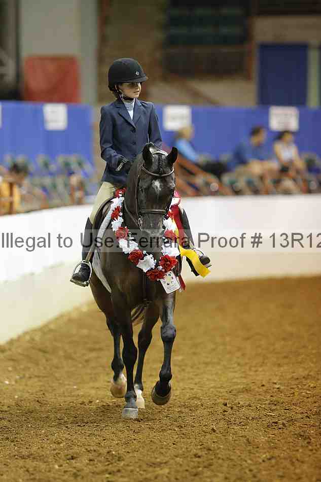Proof Number 13r12_8243