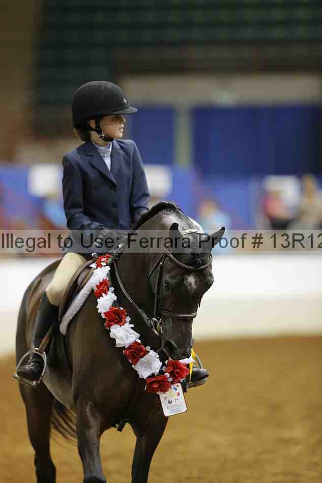 Proof Number 13r12_8245