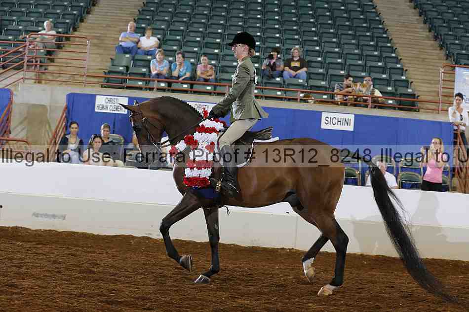 Proof Number 13r12_8248