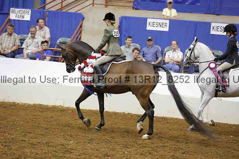 Proof Number 13r12_8252