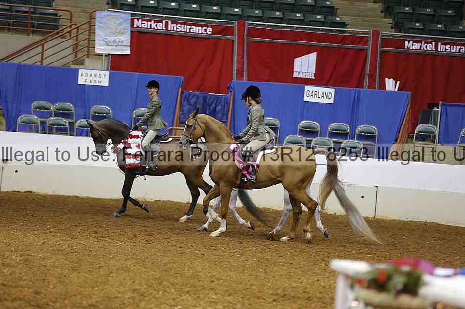 Proof Number 13r12_8253