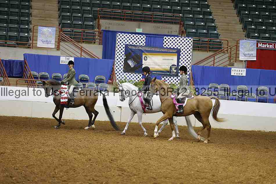 Proof Number 13r12_8255