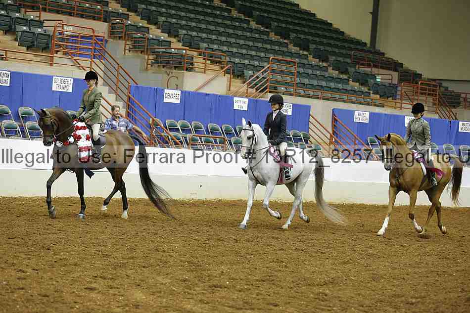 Proof Number 13r12_8257