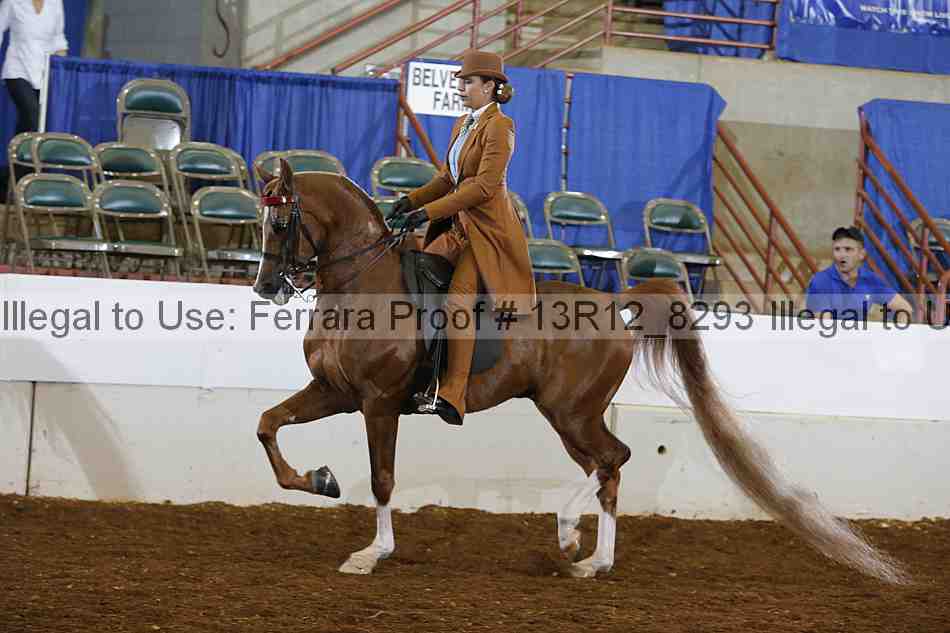 Proof Number 13r12_8293