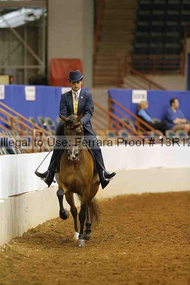Proof Number 13r12_8295