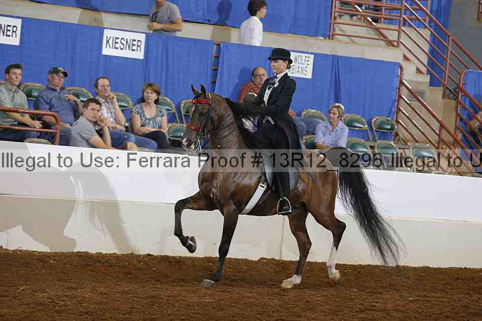 Proof Number 13r12_8296