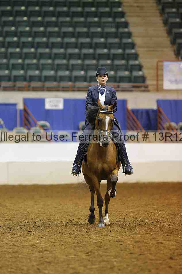 Proof Number 13r12_8297
