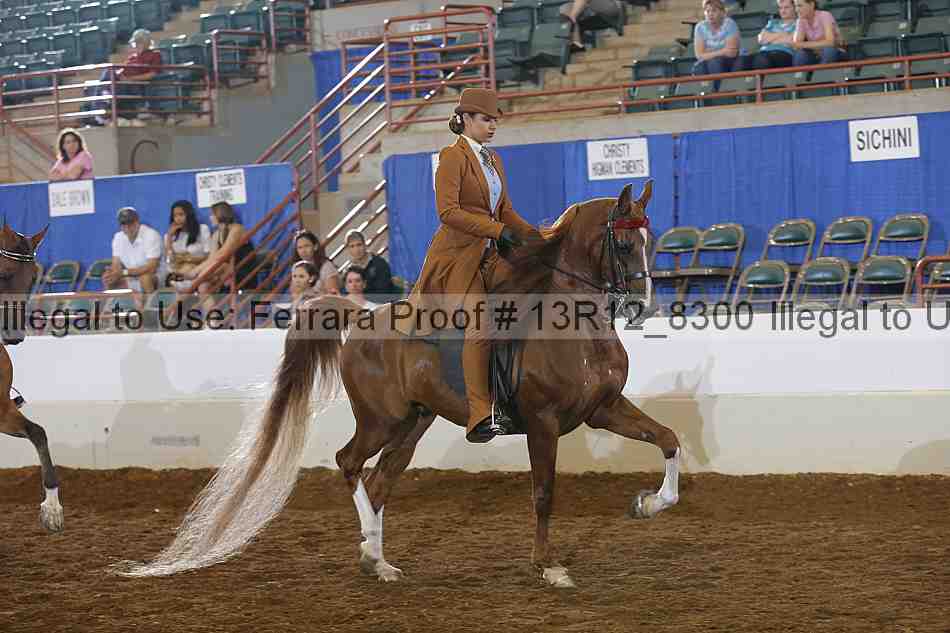 Proof Number 13r12_8300