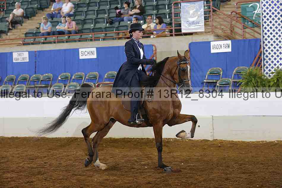 Proof Number 13r12_8304