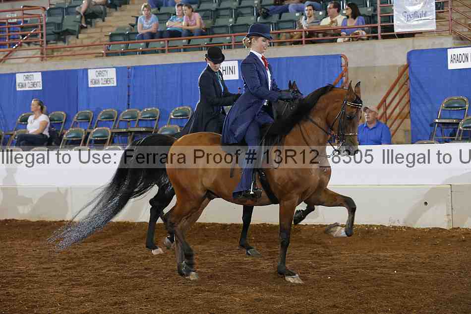 Proof Number 13r12_8305
