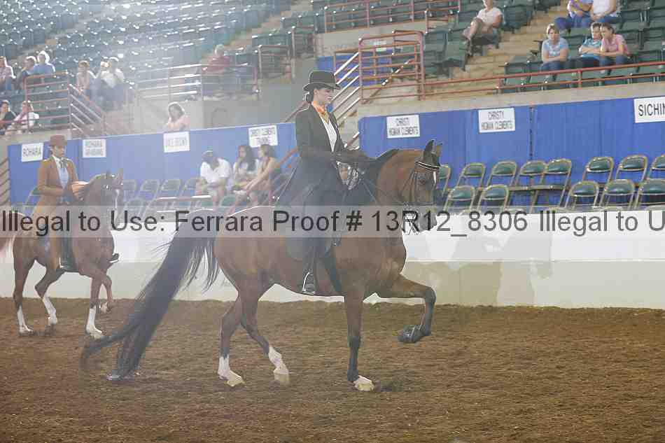 Proof Number 13r12_8306