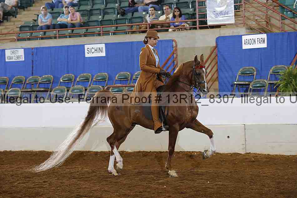 Proof Number 13r12_8307