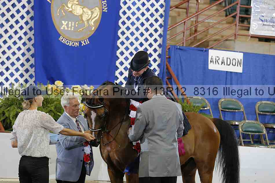 Proof Number 13r12_8316