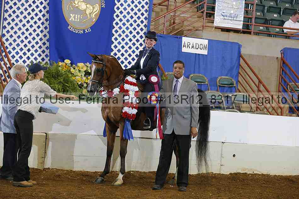 Proof Number 13r12_8317