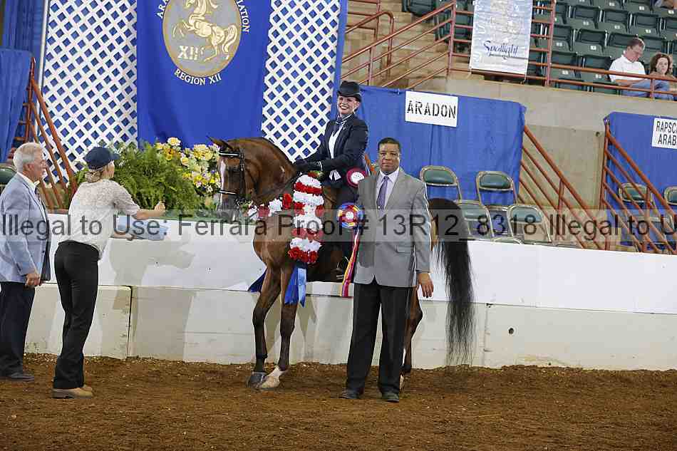 Proof Number 13r12_8318