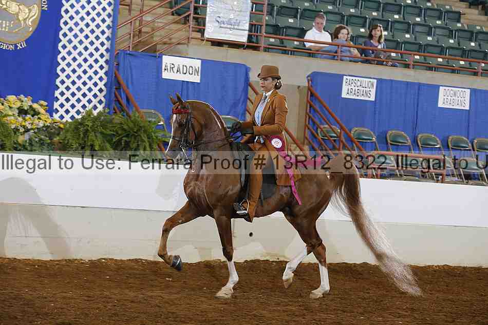 Proof Number 13r12_8322