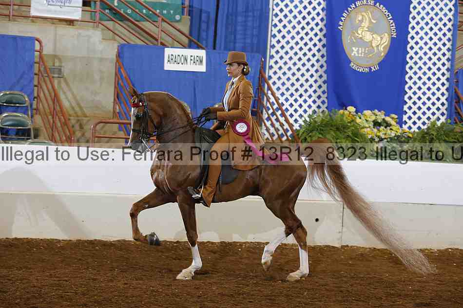 Proof Number 13r12_8323