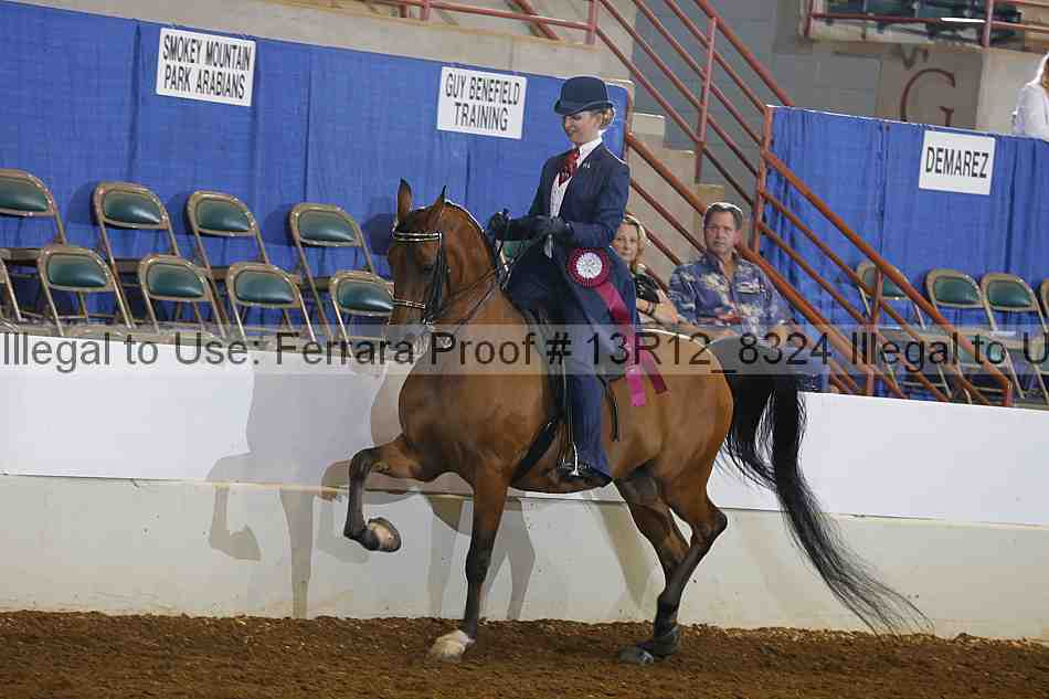 Proof Number 13r12_8324