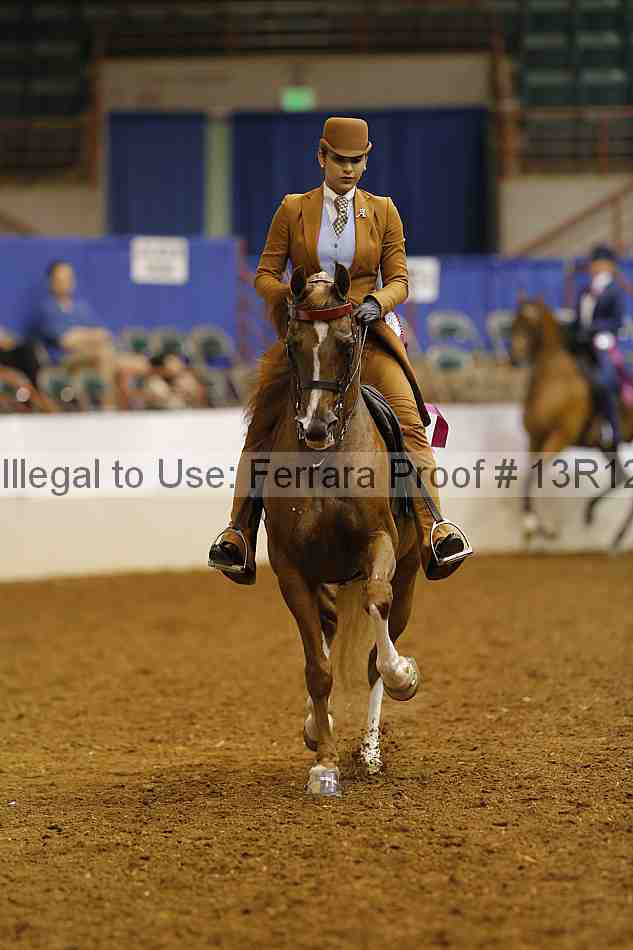 Proof Number 13r12_8325