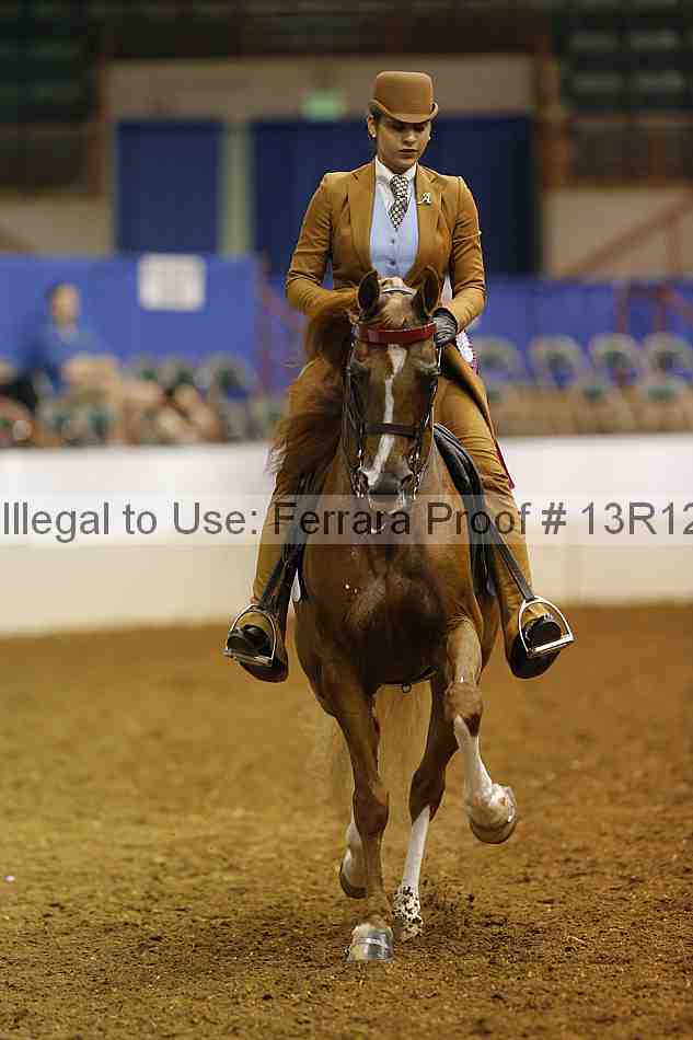 Proof Number 13r12_8326