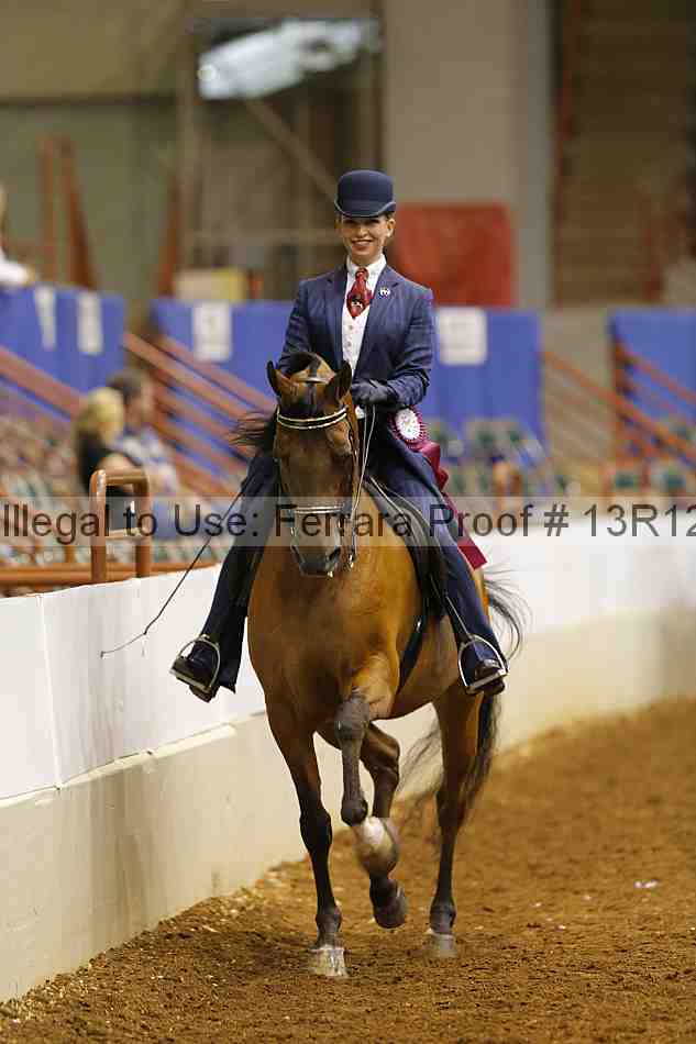 Proof Number 13r12_8329