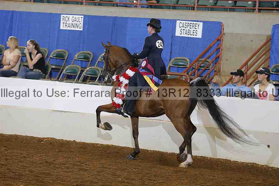 Proof Number 13r12_8333