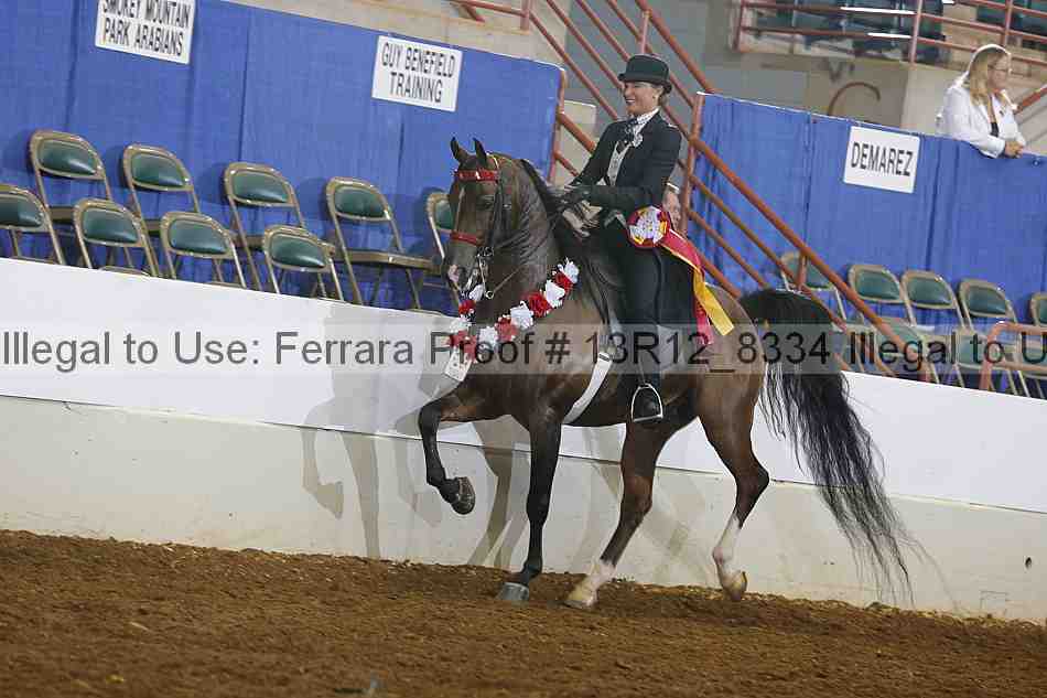 Proof Number 13r12_8334