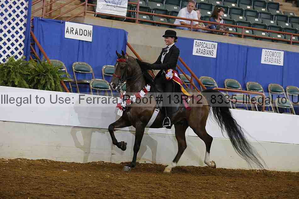 Proof Number 13r12_8335