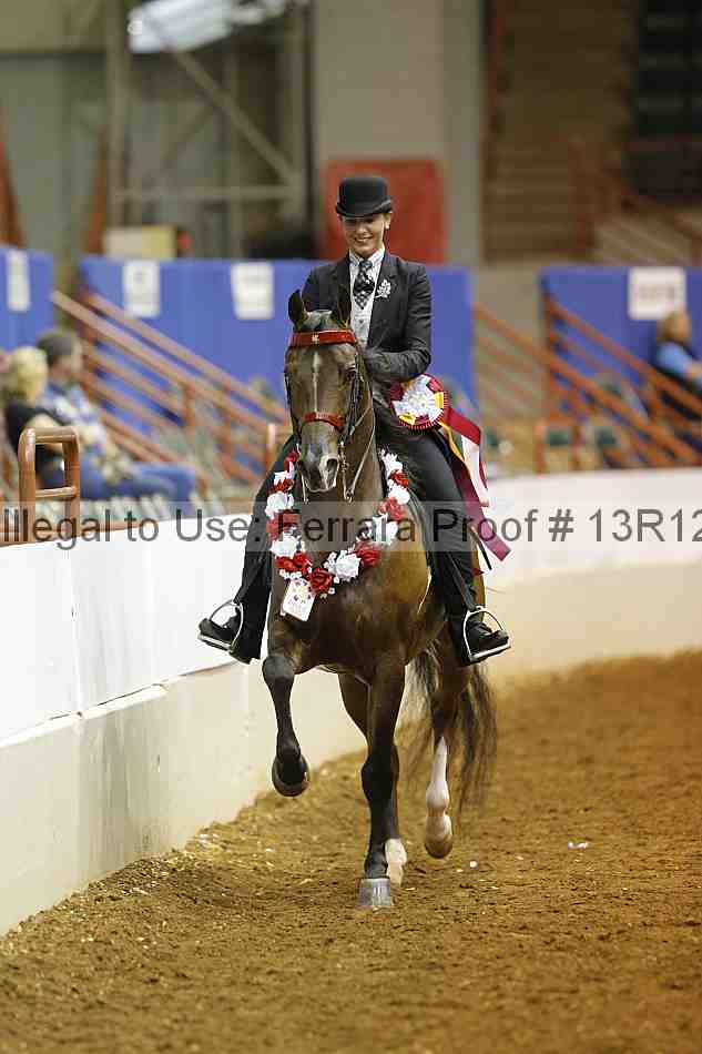 Proof Number 13r12_8338