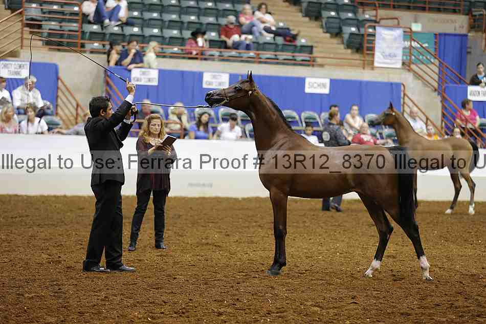 Proof Number 13r12_8370