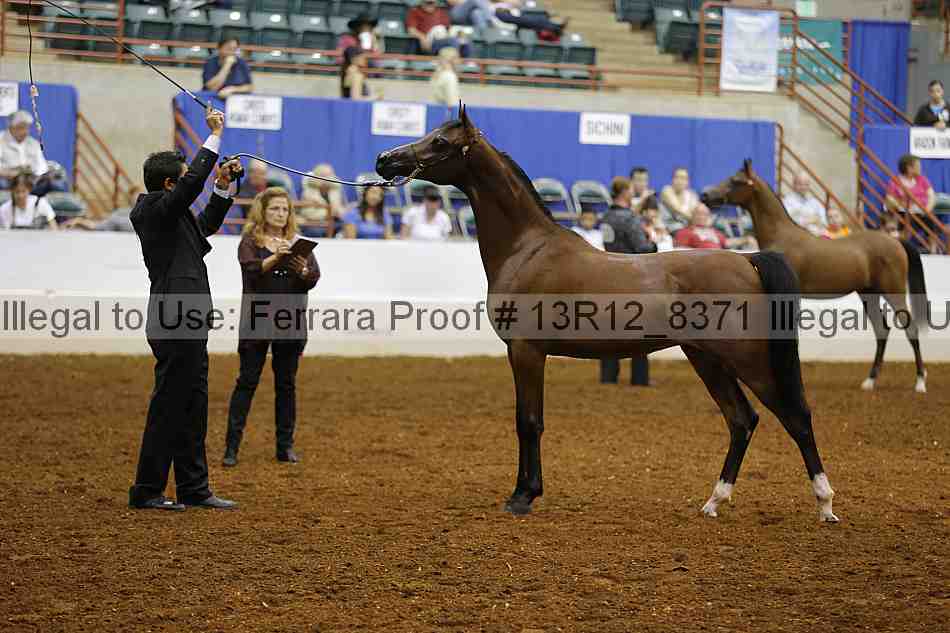 Proof Number 13r12_8371