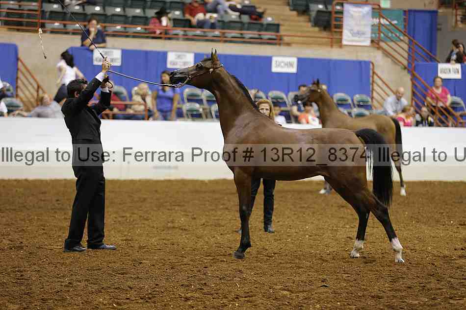 Proof Number 13r12_8374