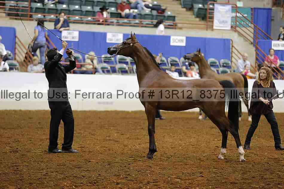 Proof Number 13r12_8375