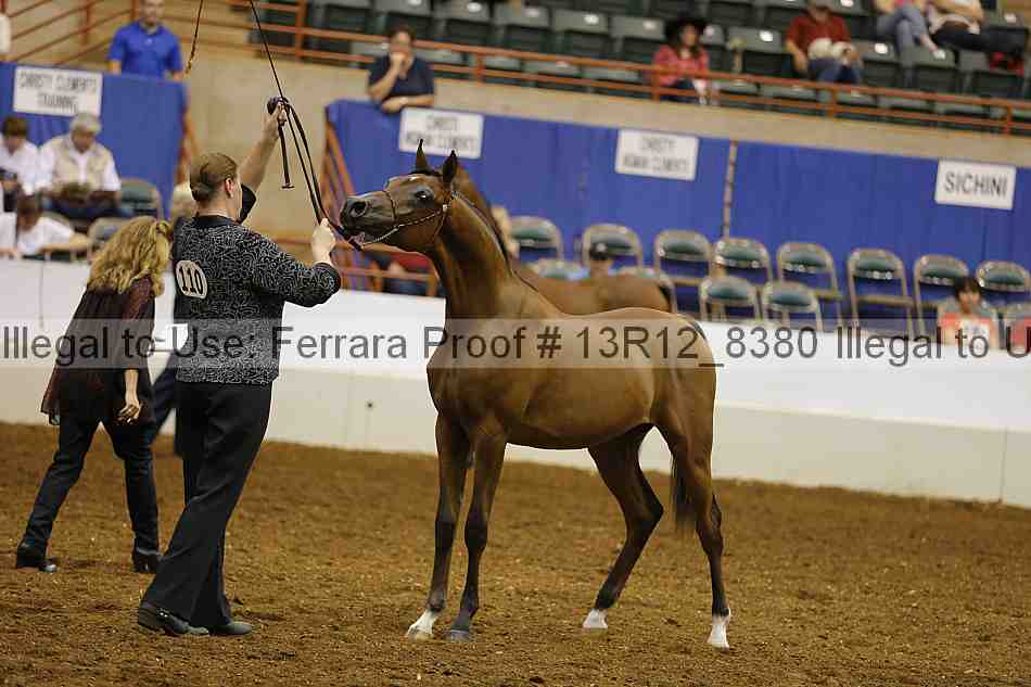 Proof Number 13r12_8380
