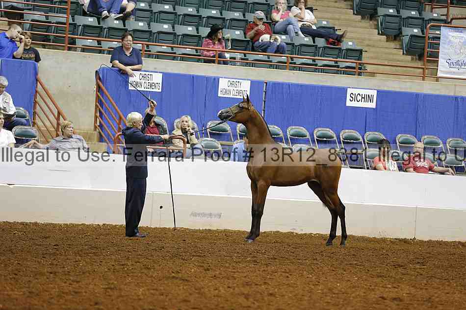 Proof Number 13r12_8381