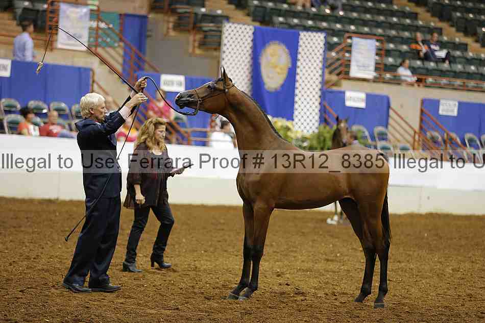 Proof Number 13r12_8385