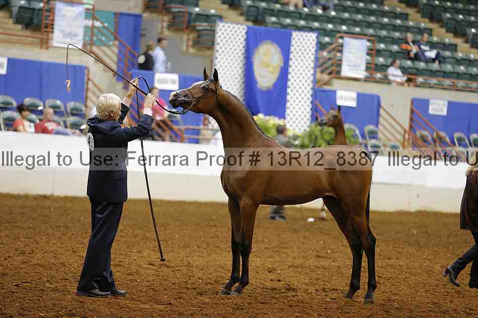 Proof Number 13r12_8387