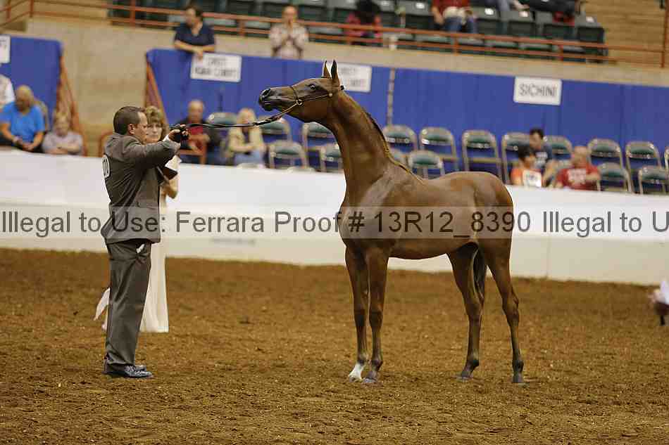 Proof Number 13r12_8390
