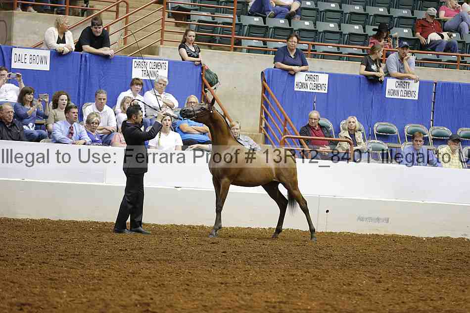 Proof Number 13r12_8401