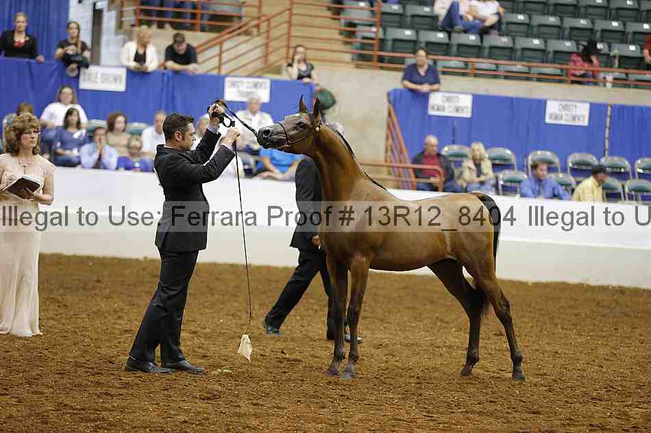 Proof Number 13r12_8404