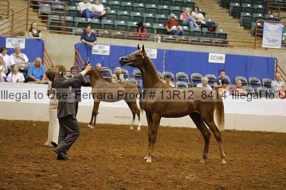 Proof Number 13r12_8414