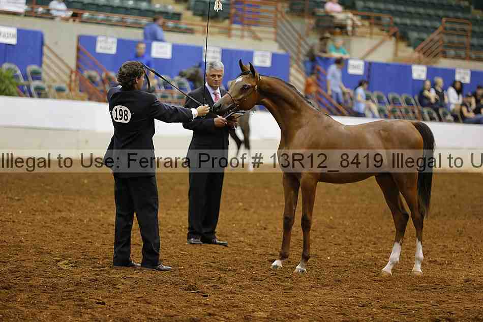 Proof Number 13r12_8419