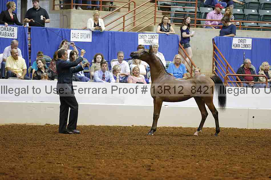 Proof Number 13r12_8421