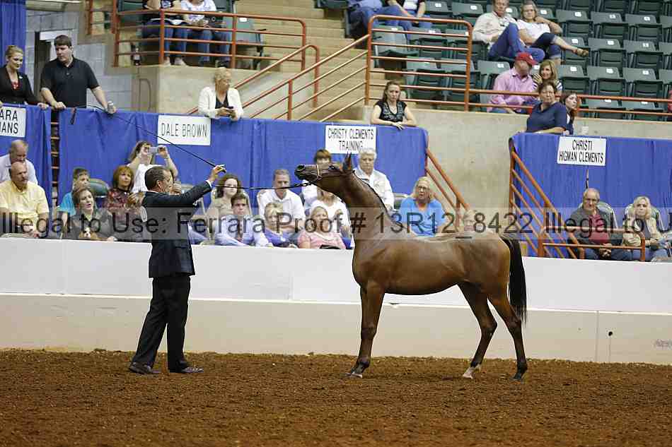 Proof Number 13r12_8422