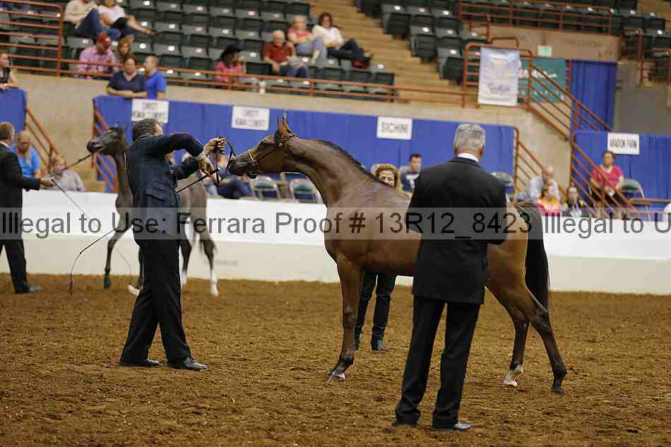 Proof Number 13r12_8423
