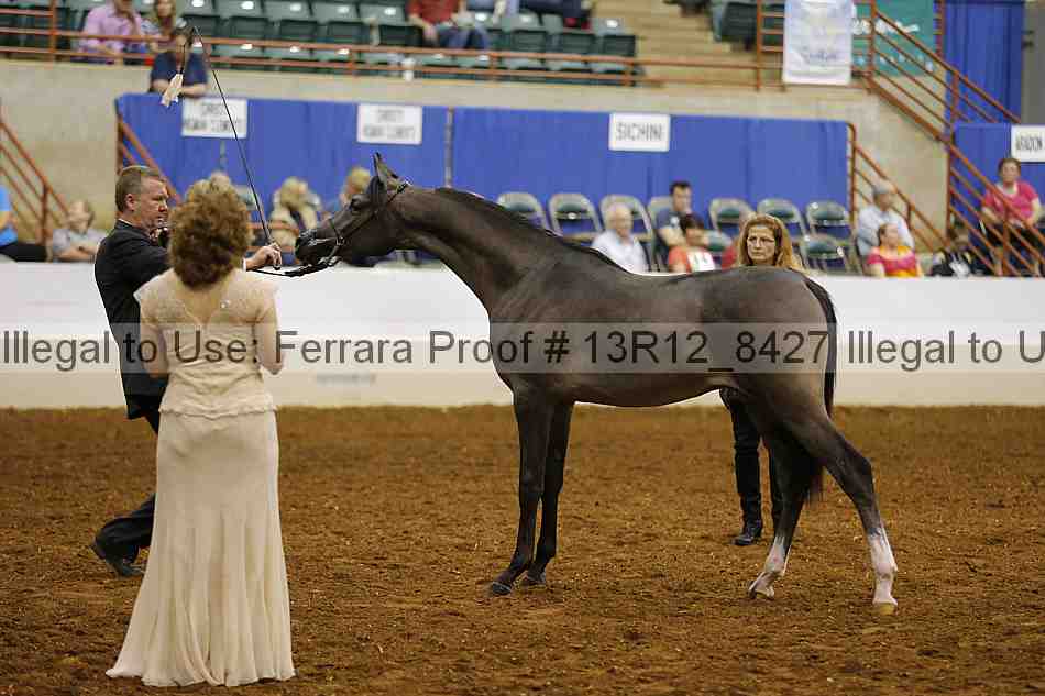 Proof Number 13r12_8427