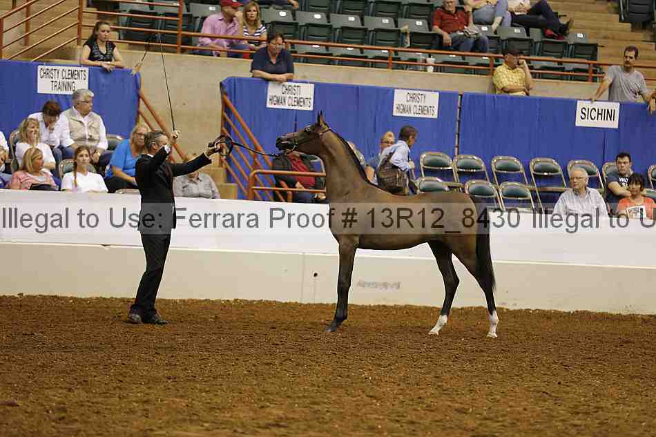 Proof Number 13r12_8430