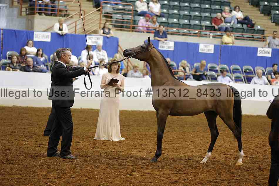 Proof Number 13r12_8433